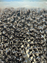 Load image into Gallery viewer, HD FRONTAL- Deep Curly 13x4 & 13x6